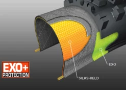 MAXXIS Minion DHF Pneu Souple MaxxTerra Exo+ WT TR - 27,5 X 2,6 Pouces -SRAM Soldes maxxis minion dhf pneu souple maxxterra exo wt tr 275 x 26 pouces 6